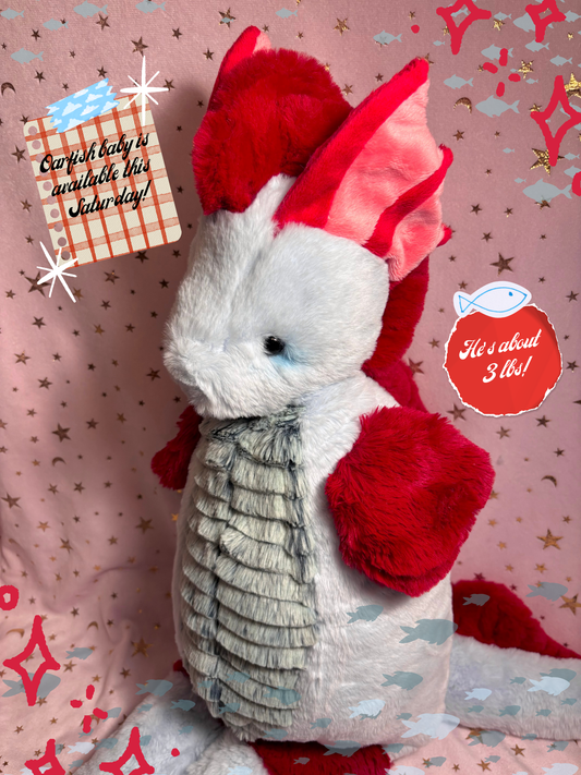 Oarfish Dollie