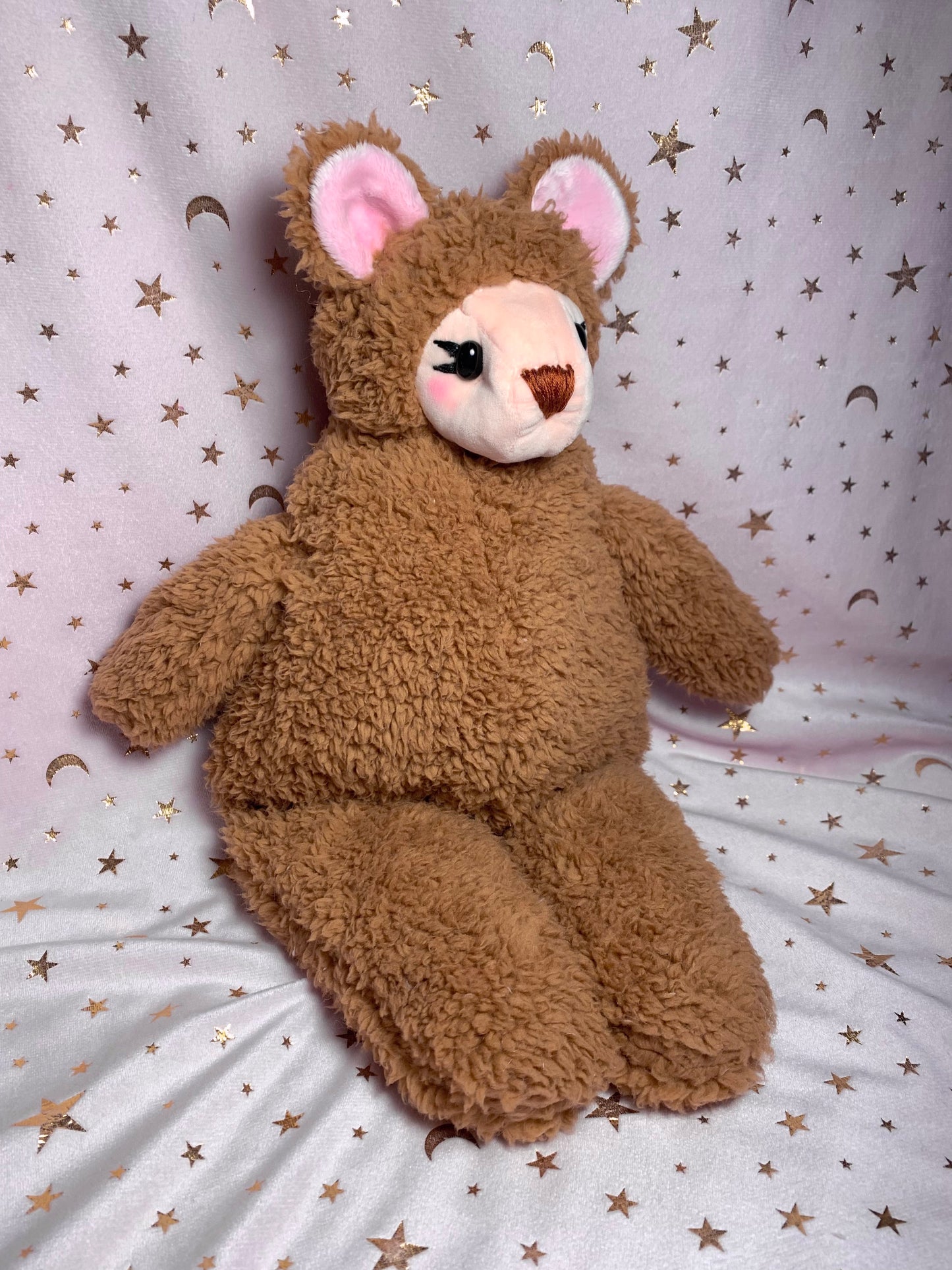 Baby Teddy