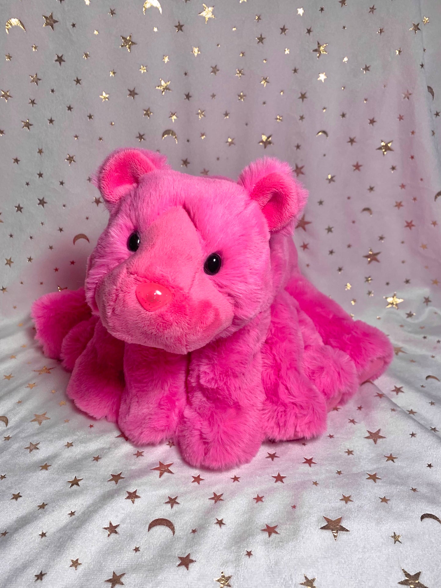 Pink Water Teddy