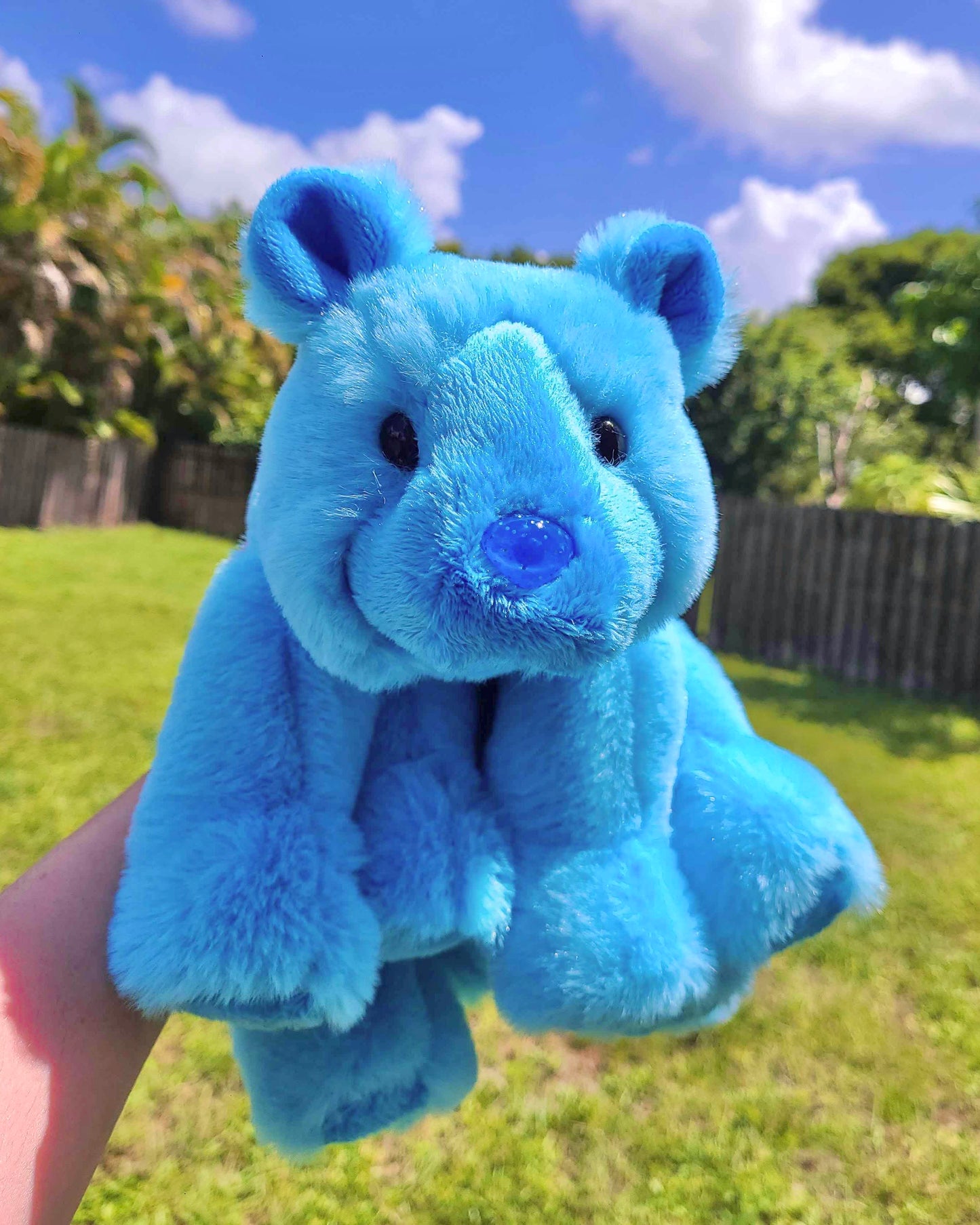 Water Teddy Tubby