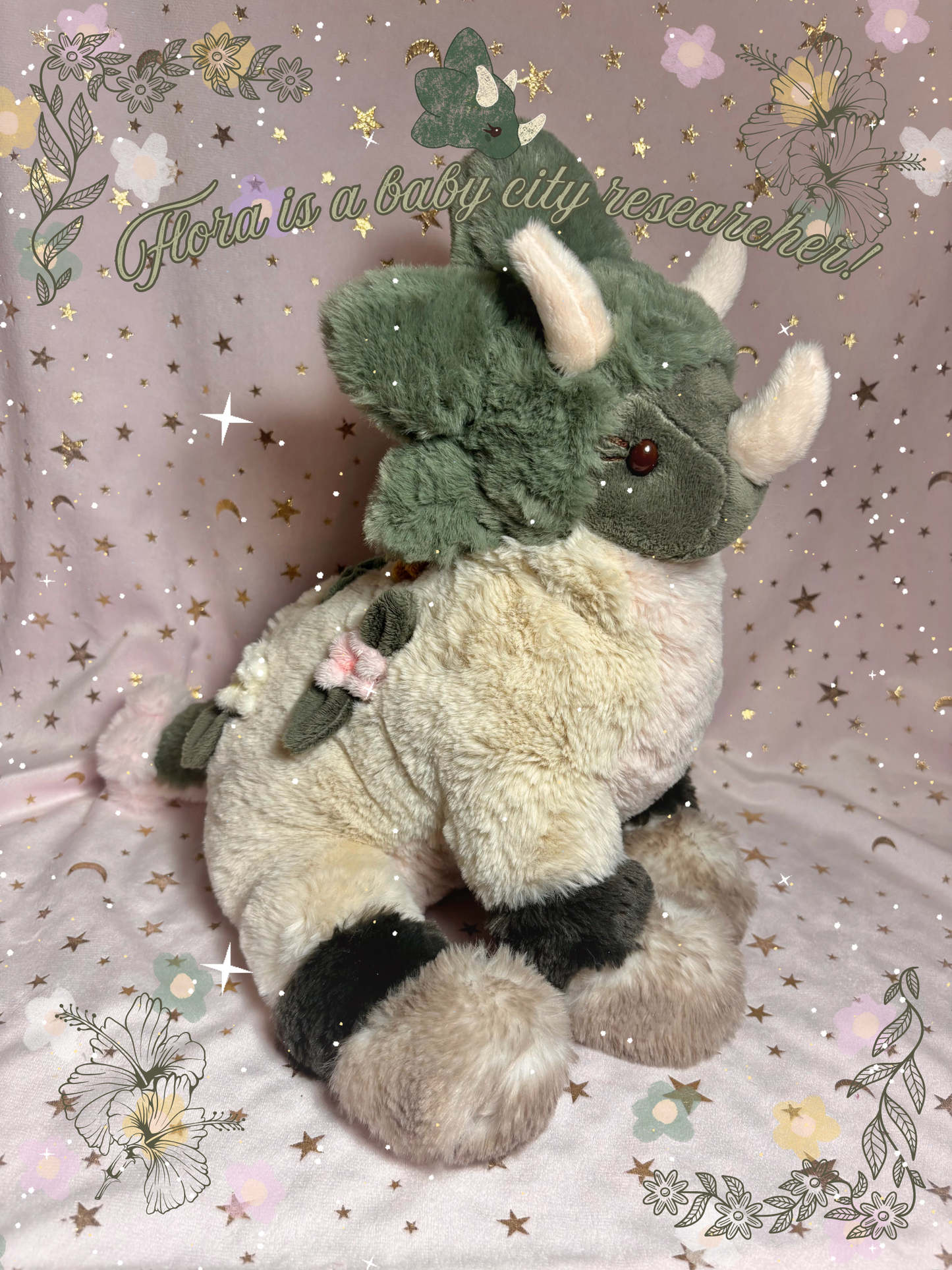 Flora the Triceratops Tubby