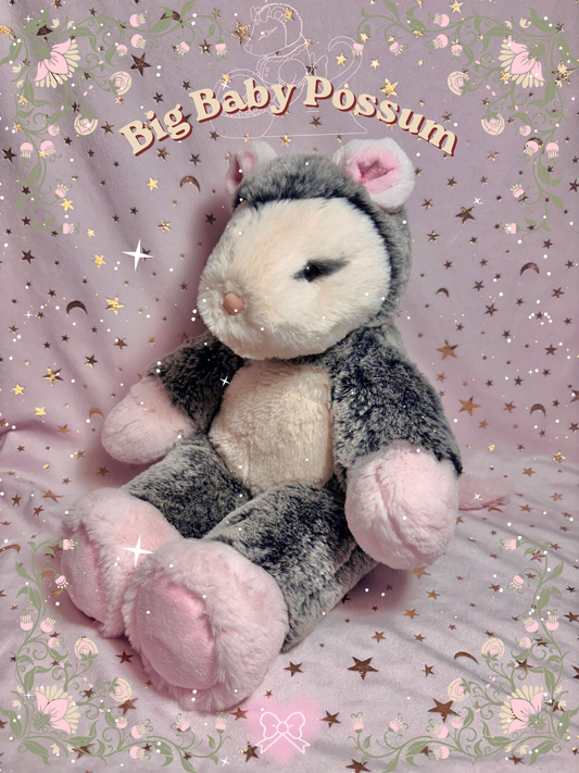 Big Baby Possum