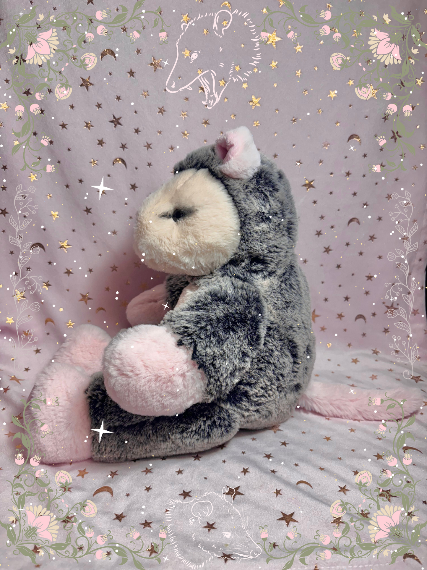 Big Baby Possum